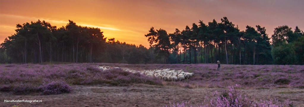 Kom met je team…